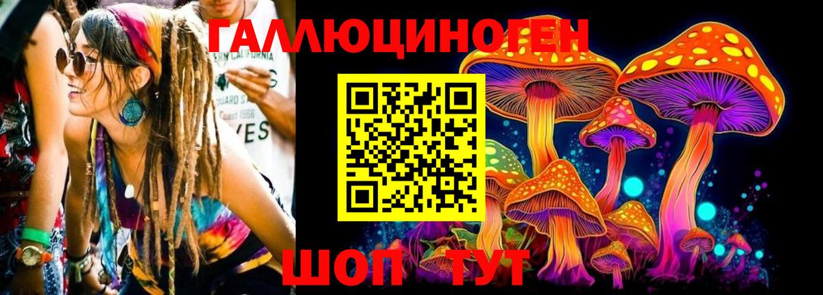 Псилоцибиновые грибы мицелий Людиново